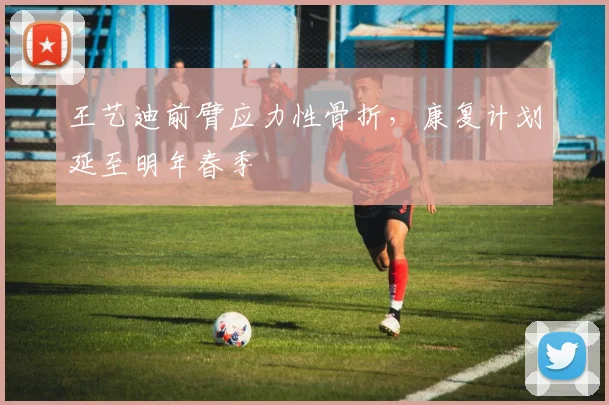 王艺迪前臂应力性骨折,康复计划延至明年春季